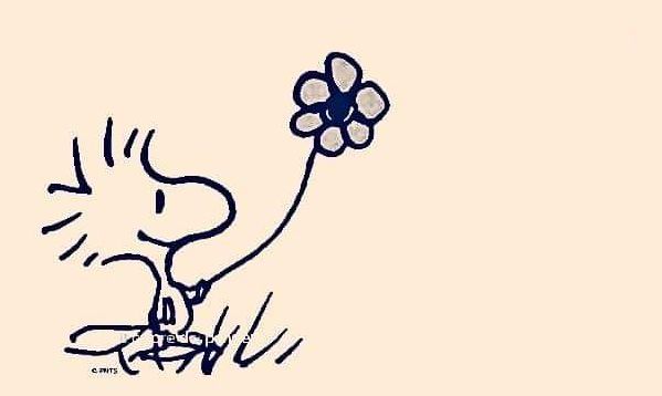 ascolto e mediazione