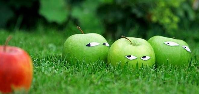 pregiudizi in famiglia pregiudizi in famiglia